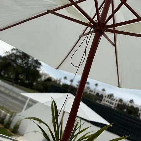 Modern 5br Villa-private Pool-walk To & Oura-10 Guests By Misha's Place * 阿尔布费拉